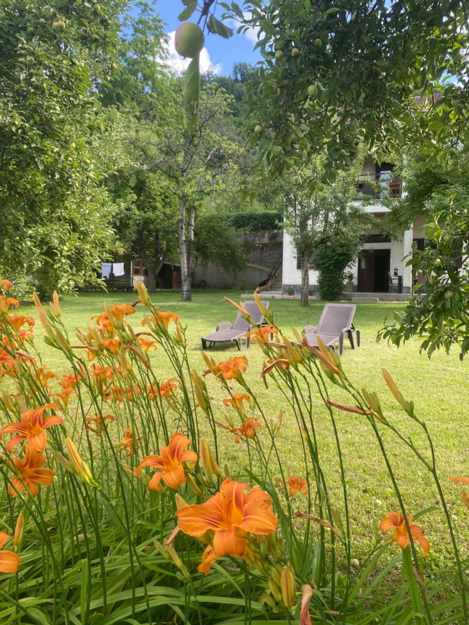 Konjic Lakeside Resort Dış mekan fotoğraf